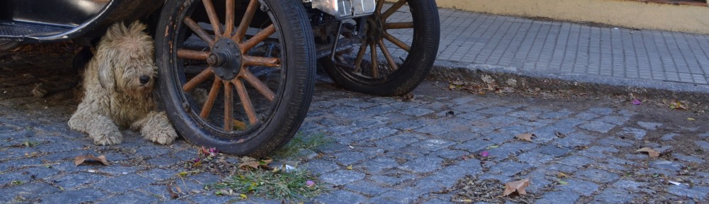 The Alexander Nickolatos Blog